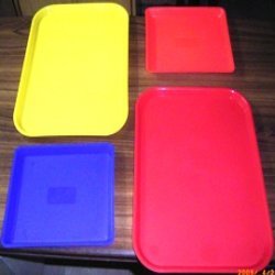 Plastic Trays Manufacturer Supplier Wholesale Exporter Importer Buyer Trader Retailer in Daman  India